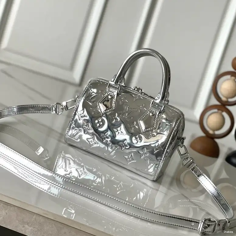 2411YA0181 Bags LV 0815
